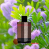 Nước Hoa Nam Burberry London for Men EDT  Chính Hãng