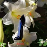 Nước Hoa Nữ Carolina Herrera Good Girl EDP Chính Hãng