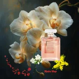 Nước Hoa Nữ Chanel Coco Mademoiselle EDP