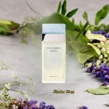 Nước Hoa Nam Dolce&Gabbana Light Blue Pour Homme EDT Chính Hãng