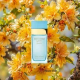 Nước Hoa Nữ Dolce & Gabbana Light Blue Forever