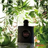 Nước Hoa Nữ Yves Saint Laurent YSL Black Opium Le Parfum EDP